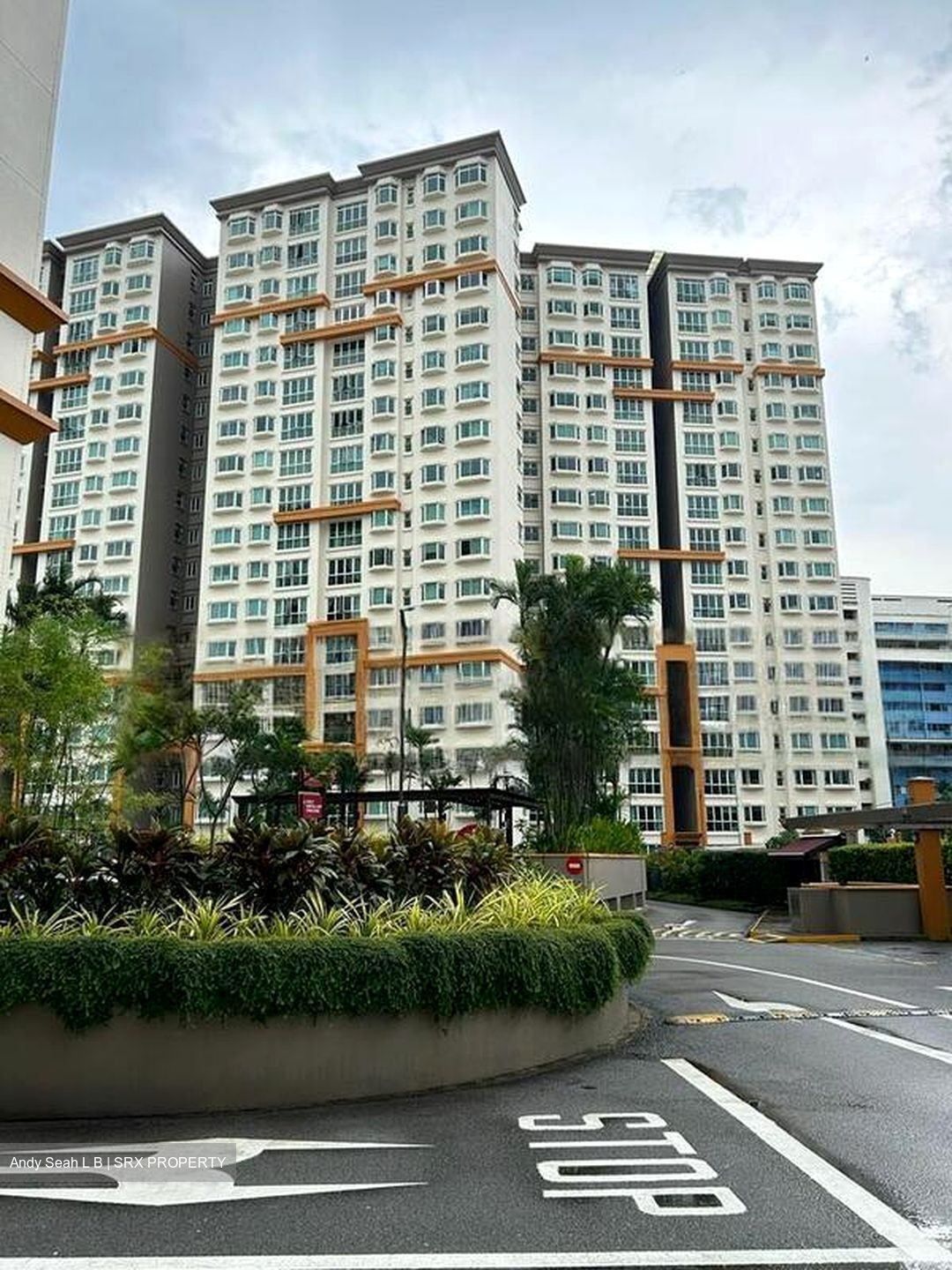 Evergreen Park (D19), Apartment #459156571